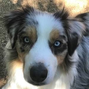 Meet your Posher, Sharon